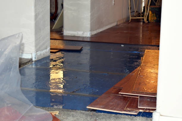 Professional Sewage Cleanup technician working in Marengo, IL